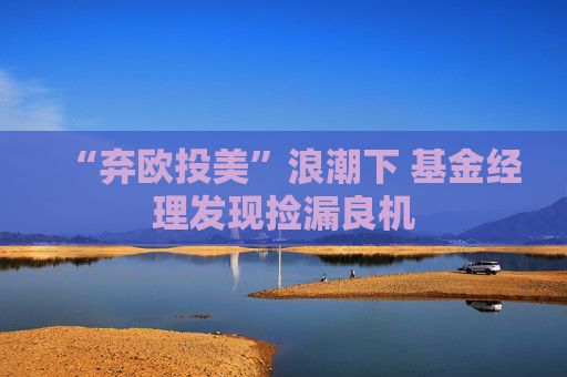 “弃欧投美”浪潮下 基金经理发现捡漏良机