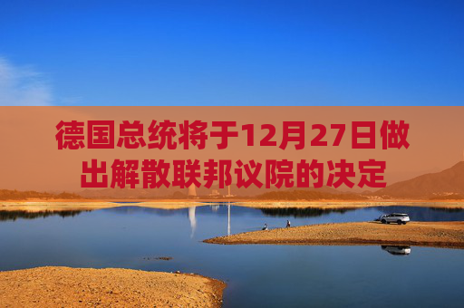 德国总统将于12月27日做出解散联邦议院的决定