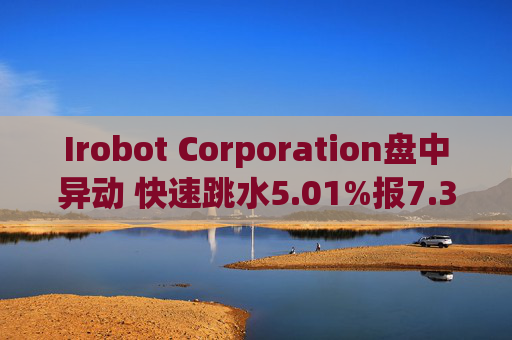 Irobot Corporation盘中异动 快速跳水5.01%报7.38美元