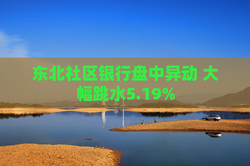 东北社区银行盘中异动 大幅跳水5.19%