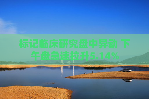 标记临床研究盘中异动 下午盘急速拉升5.14%