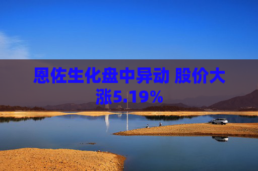 恩佐生化盘中异动 股价大涨5.19%