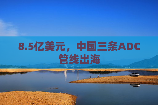 8.5亿美元，中国三条ADC管线出海