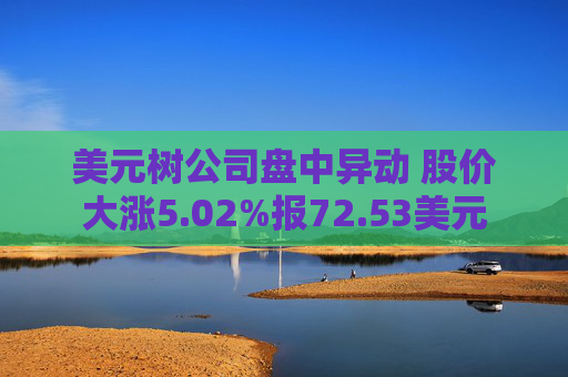 美元树公司盘中异动 股价大涨5.02%报72.53美元