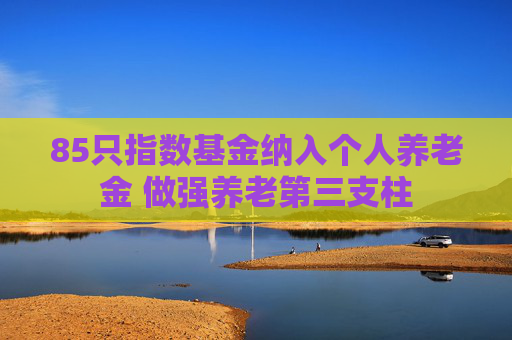 85只指数基金纳入个人养老金 做强养老第三支柱