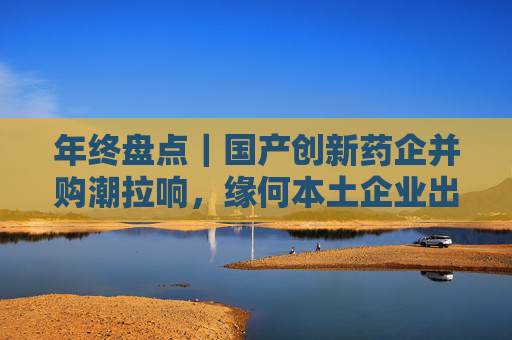 年终盘点｜国产创新药企并购潮拉响，缘何本土企业出手少