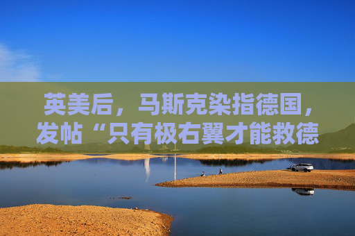 英美后，马斯克染指德国，发帖“只有极右翼才能救德国”