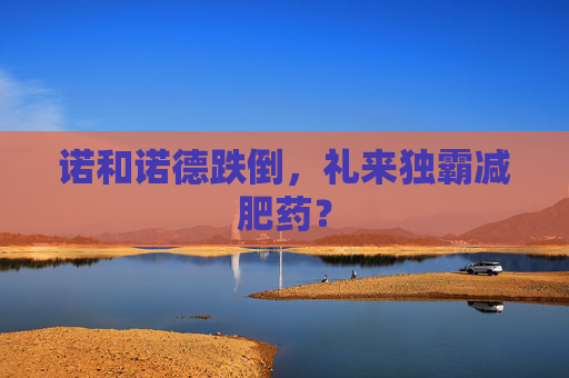 诺和诺德跌倒，礼来独霸减肥药？