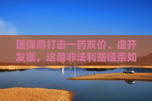 医保局打击一药双价、虚开发票，这条非法利益链条如何形成？