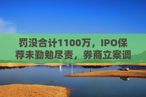 罚没合计1100万，IPO保荐未勤勉尽责，券商立案调查结果出炉