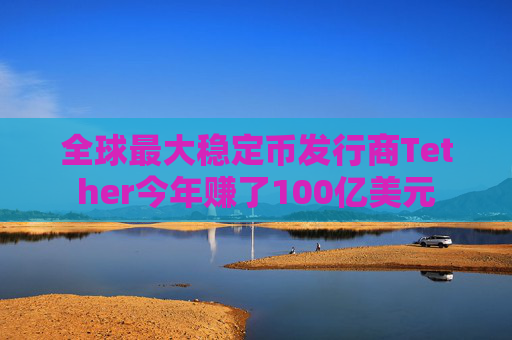 全球最大稳定币发行商Tether今年赚了100亿美元