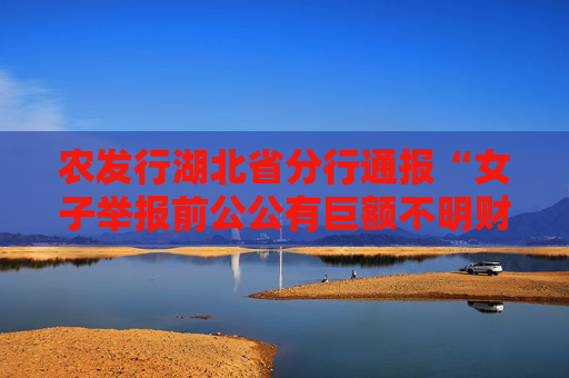 农发行湖北省分行通报“女子举报前公公有巨额不明财产”：追缴违纪所得