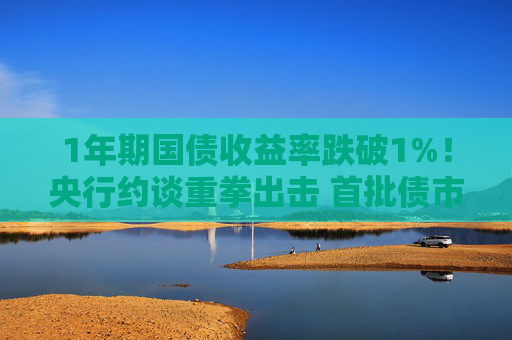 1年期国债收益率跌破1%！央行约谈重拳出击 首批债市处罚名单近期或公布