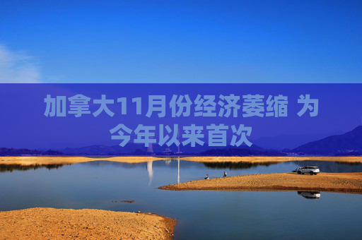 加拿大11月份经济萎缩 为今年以来首次