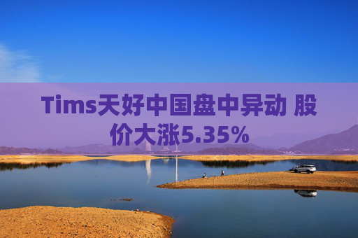 Tims天好中国盘中异动 股价大涨5.35%