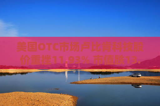 美国OTC市场卢比肯科技股价重挫11.93% 市值跌13.78万美元