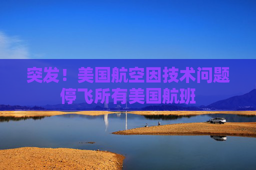 突发！美国航空因技术问题停飞所有美国航班
