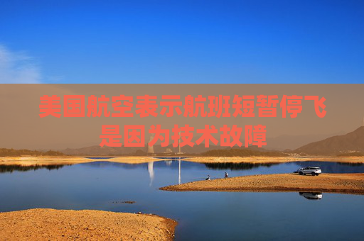 美国航空表示航班短暂停飞是因为技术故障
