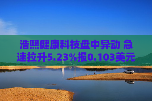 浩熙健康科技盘中异动 急速拉升5.23%报0.103美元