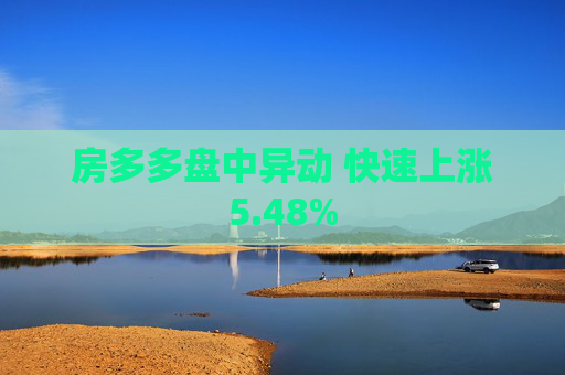 房多多盘中异动 快速上涨5.48%