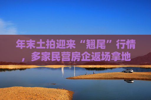年末土拍迎来“翘尾”行情，多家民营房企返场拿地