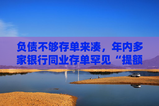 负债不够存单来凑，年内多家银行同业存单罕见“提额”