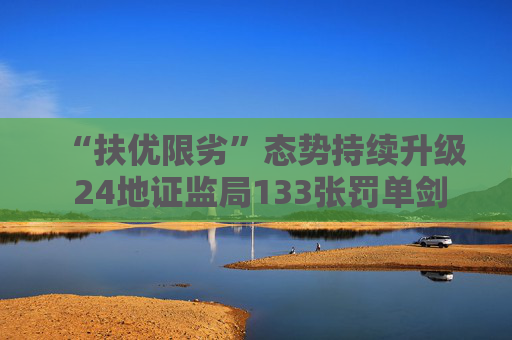 “扶优限劣”态势持续升级 24地证监局133张罚单剑指私募