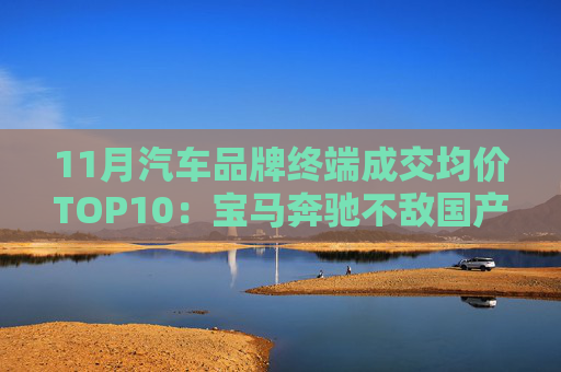 11月汽车品牌终端成交均价TOP10：宝马奔驰不敌国产