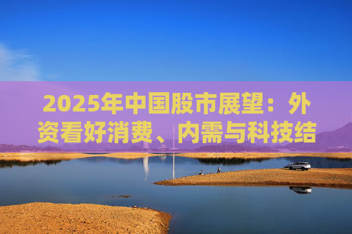 2025年中国股市展望：外资看好消费、内需与科技结构性机