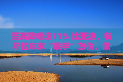 至高降幅逾11% 比亚迪、特斯拉年末“联手”放价、做“龙年”最后冲刺