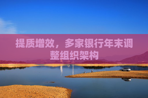 提质增效，多家银行年末调整组织架构