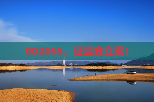 002055，证监会立案！