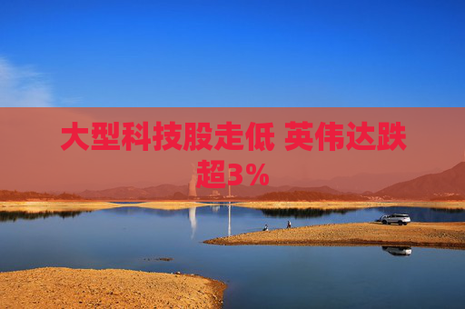 大型科技股走低 英伟达跌超3%