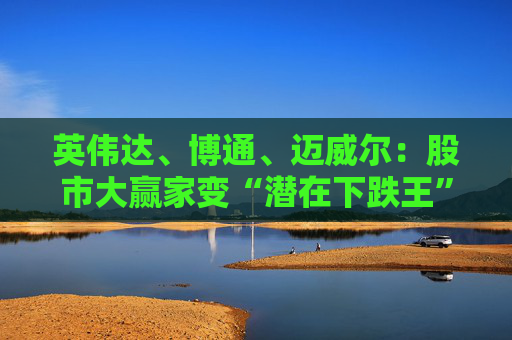 英伟达、博通、迈威尔：股市大赢家变“潜在下跌王”！