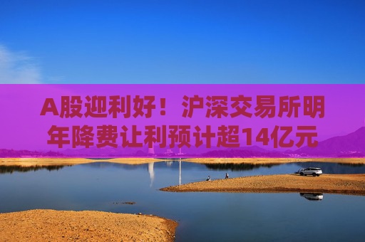 A股迎利好！沪深交易所明年降费让利预计超14亿元