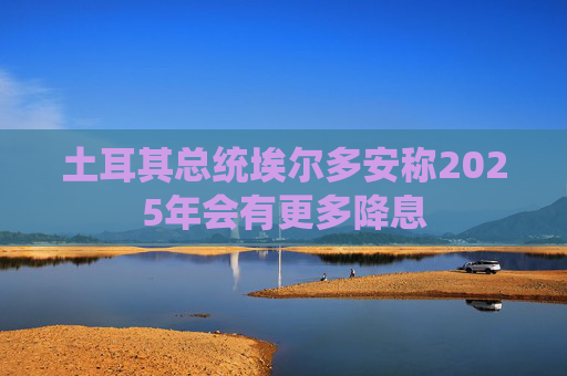 土耳其总统埃尔多安称2025年会有更多降息