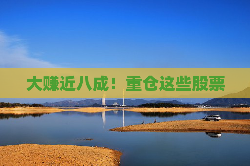 大赚近八成！重仓这些股票