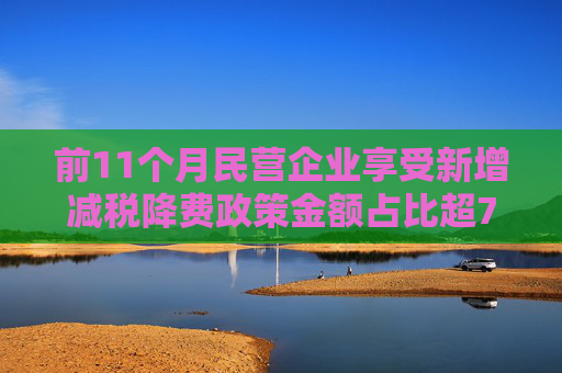 前11个月民营企业享受新增减税降费政策金额占比超70%