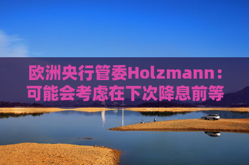 欧洲央行管委Holzmann：可能会考虑在下次降息前等待更长时间