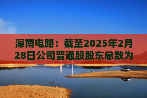 深南电路：截至2025年2月28日公司普通股股东总数为41,393户