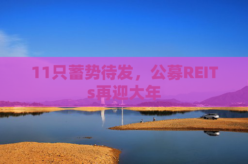 11只蓄势待发，公募REITs再迎大年