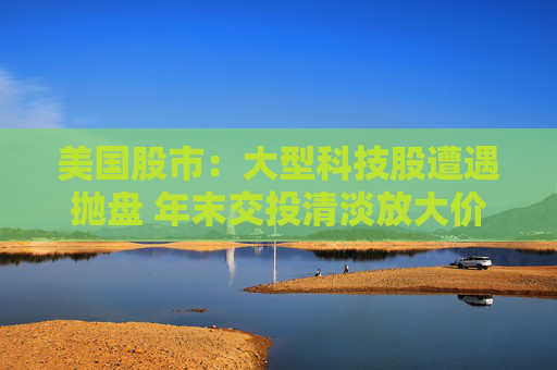 美国股市：大型科技股遭遇抛盘 年末交投清淡放大价格走势