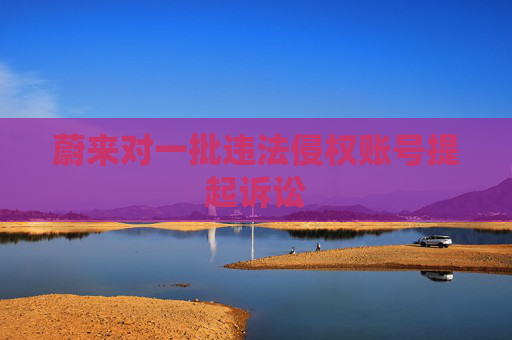 蔚来对一批违法侵权账号提起诉讼
