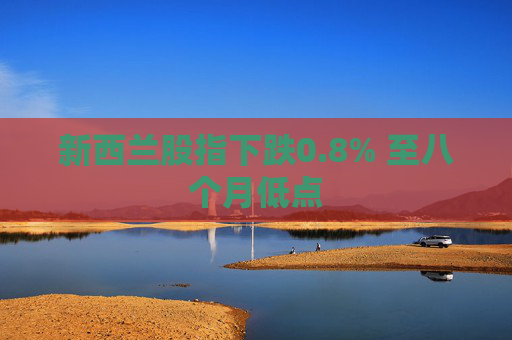 新西兰股指下跌0.8% 至八个月低点