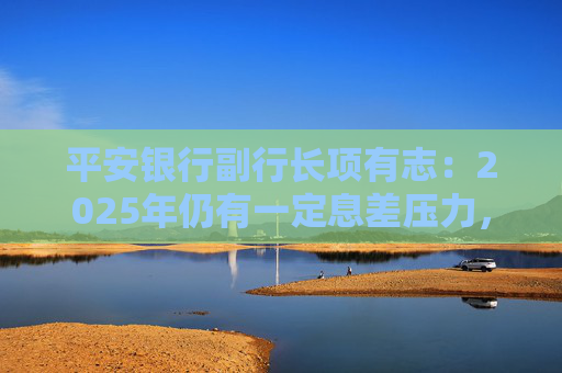 平安银行副行长项有志：2025年仍有一定息差压力，但下降趋势可能会放缓