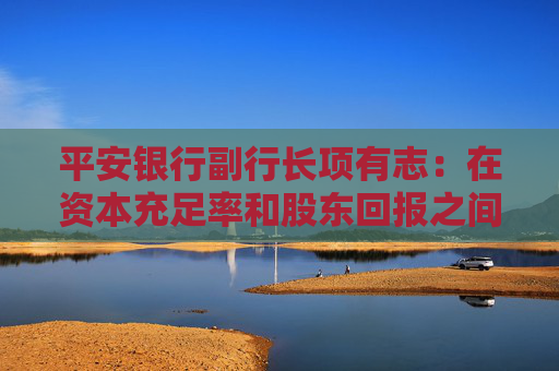 平安银行副行长项有志：在资本充足率和股东回报之间找到合理的平衡