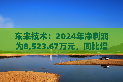 东来技术：2024年净利润为8,523.67万元，同比增长64.95%