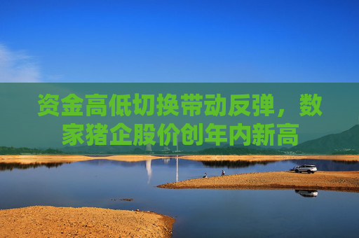 资金高低切换带动反弹，数家猪企股价创年内新高