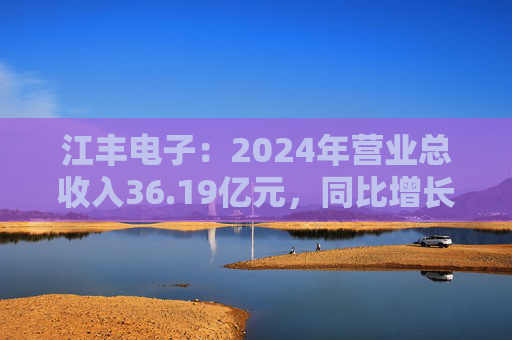 江丰电子：2024年营业总收入36.19亿元，同比增长39.11%
