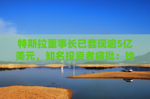 特斯拉董事长已套现逾5亿美元，知名投资者痛批：她被收买了，只代表马斯克